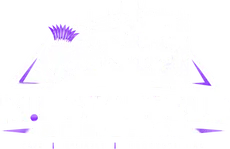 M.F Scaffold & Inspection — safe, reliable, professional